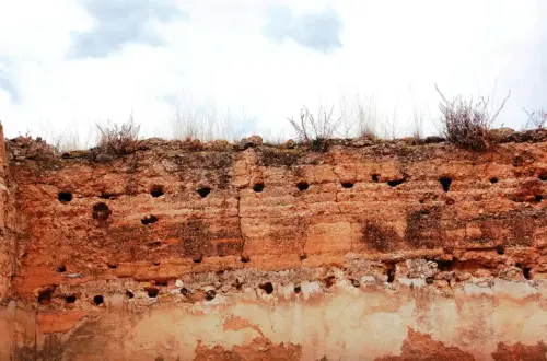 Castillos-Isso-Hellin4