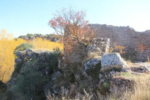 Castillos-Ossa-de-Montiel-Rochafrida10