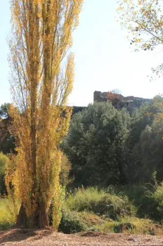 Castillos-Ossa-de-Montiel-Rochafrida6