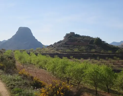 Castillos-Vicorto-Elche-de-la-Sierra10