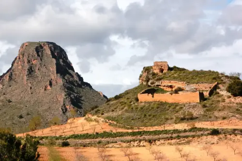 Castillos-Vicorto-Elche-de-la-Sierra2