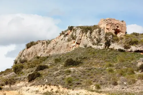 Castillos-Vicorto-Elche-de-la-Sierra3