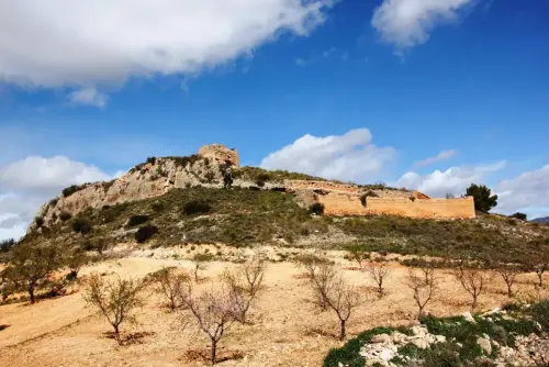 Castillos-Vicorto-Elche-de-la-Sierra7