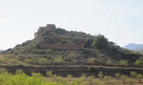 Castillos-Vicorto-Elche-de-la-Sierra9