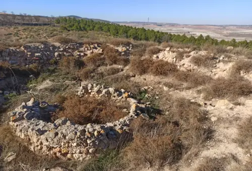 Torre-del-Pexin-Montealegre-del-Castillo3