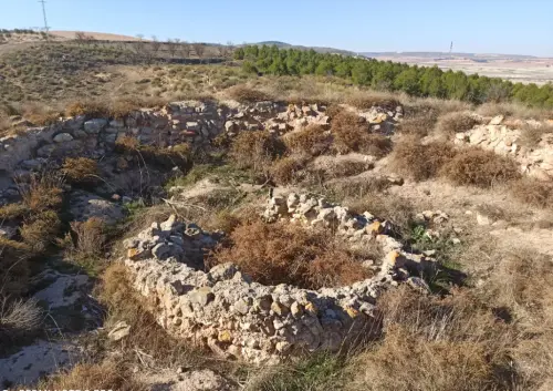 Torre-del-Pexin-Montealegre-del-Castillo4