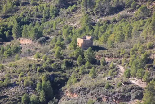 Torres-atalaya-Cortijo-Leon-Molinicos3