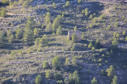 Torres-atalaya-Cortijo-Leon-Molinicos4