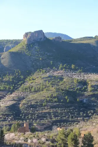 Torres-atalaya-Cortijo-Leon-Molinicos5