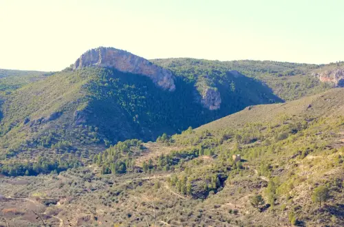 Torres-atalaya-Cortijo-Leon-Molinicos6