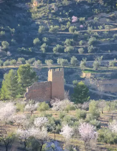 Torres-atalaya-El-Morcillar-Molinicos2