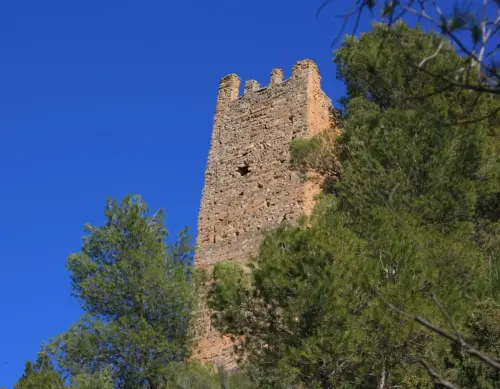 Torres-atalaya-Llano-de-la-Torre-Yeste8