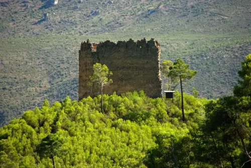 Torres-atalaya-Moropeche-Yeste10