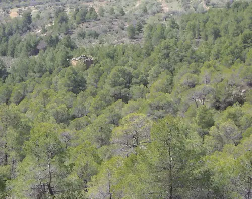 Torres-atalaya-Paules-Yeste