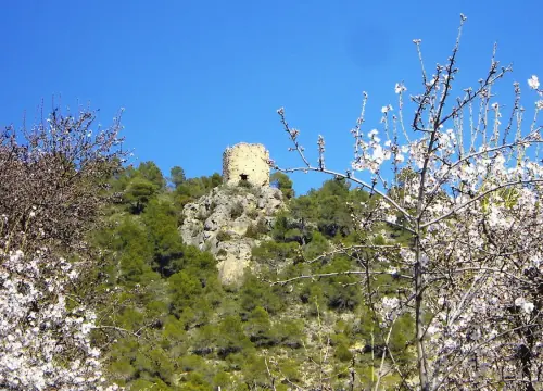 Torres-atalaya-Torre-Pedro-Molinicos3