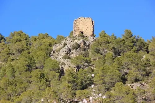 Torres-atalaya-Torre-Pedro-Molinicos4