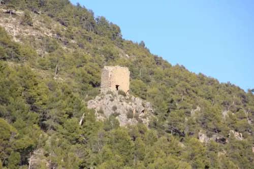 Torres-atalaya-Torre-Pedro-Molinicos6