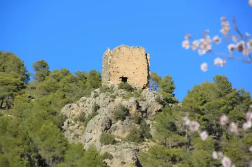 Torres-atalaya-Torre-Pedro-Molinicos8