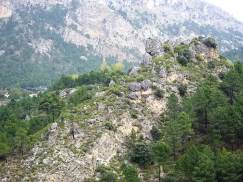 Torres-atalaya-Tus-Yeste2