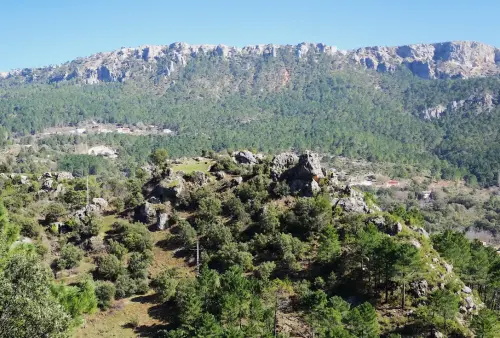 Torres-atalaya-Tus-Yeste3