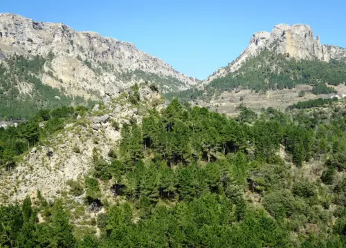 Torres-atalaya-Tus-Yeste6