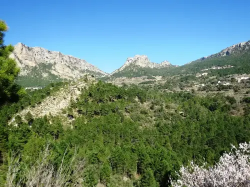 Torres-atalaya-Tus-Yeste7