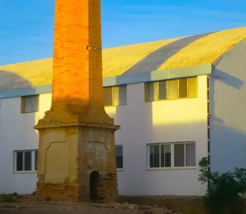 Chimeneas-Esparteria-Hellin7