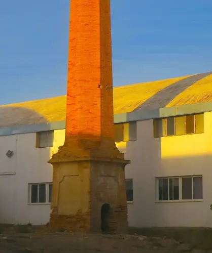 Chimeneas-Esparteria-Hellin9