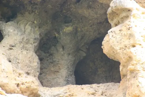 Cuevas-La-Gineta-Cuasiermas4