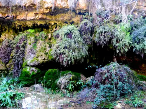 Cuevas-Villamales-Cueva-de-Los-Angeles