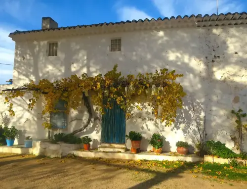 Edificacion-rural-Casas-del-Rio-Hellin