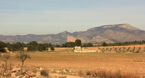 Edificacion-rural-El-Llano-de-la-Vida-Letur
