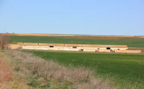 Edificacion-rural-Hoya-Pelada-aprisco-Petrola