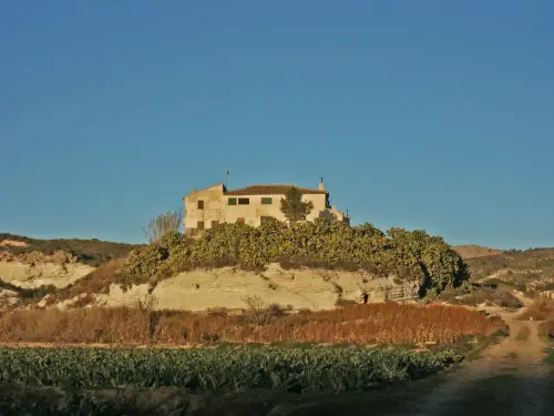 Edificacion-rural-Las-Minas-Hellin