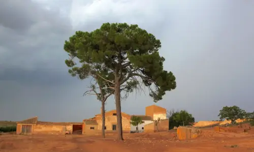 Edificacion-rural-Nava-de-don-Justo-Hellin