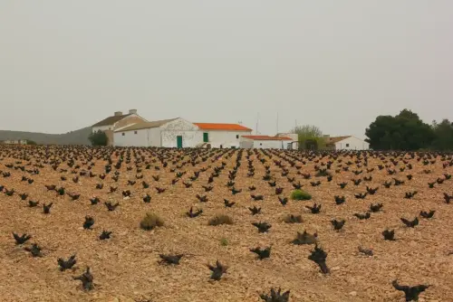 Edificacion-rural-Por-Tobarra