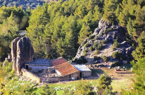 Edificacion-rural-Tina-del-Olivarico-Gontar-Yeste