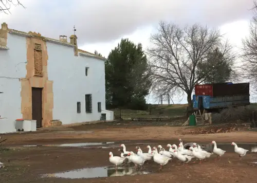 Edificacion-rural-Valtenebroso-La-Roda