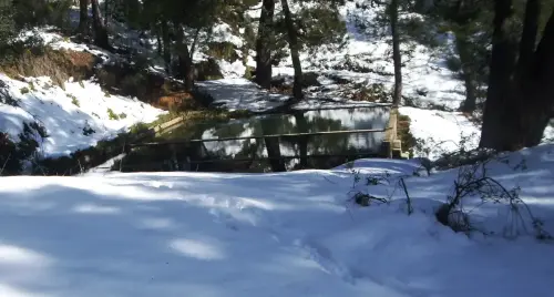 Fuentes-Arroyo-Bravo-Yeste2