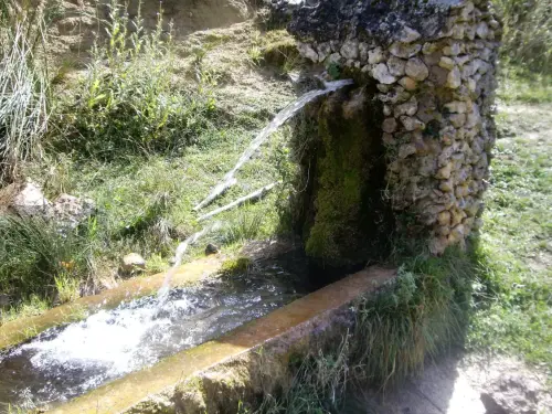 Fuentes-Arroyo-de-La-Puerta-Villaverde-de-Guadalimar