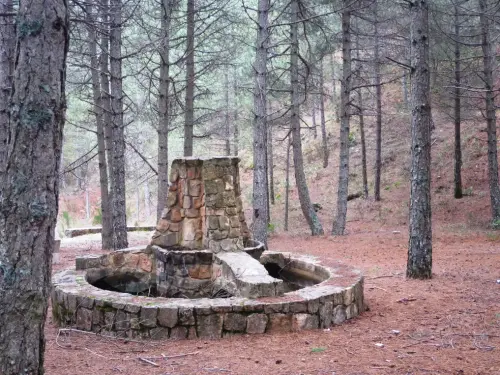 Fuentes-Arroyo-del-Perro-Riopar