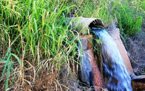 Fuentes-Arrozales-del-Cenajo-Hellin