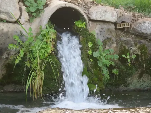 Fuentes-Arrozales-del-Cenajo-Hellin2