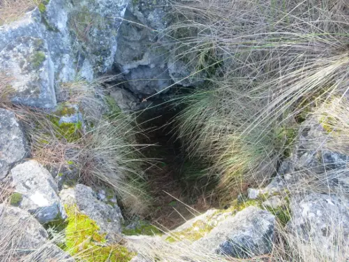 Fuentes-Ayna-El-Halcon