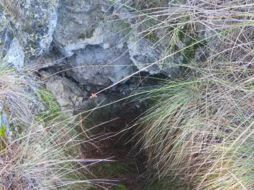 Fuentes-Ayna-El-Halcon2