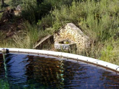 Fuentes-Barranco-Judio-Villaverde-de-Guadalimar