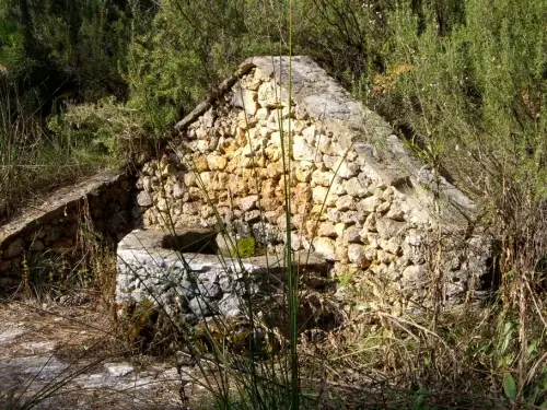 Fuentes-Barranco-Judio-Villaverde-de-Guadalimar2