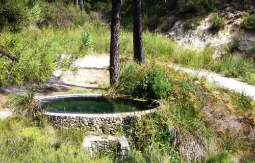 Fuentes-Barranco-Judio-Villaverde-de-Guadalimar3