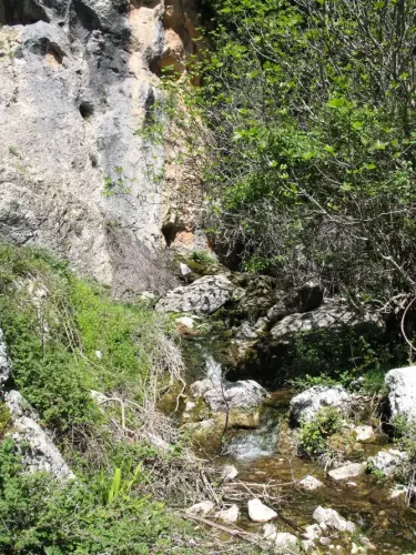 Fuentes-Calar-del-Mundo-La-Pedorrilla-Riopar