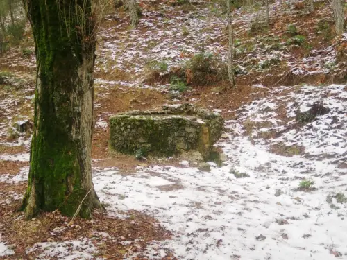 Fuentes-Calar-del-Mundo-La-Pedorrilla-Riopar3